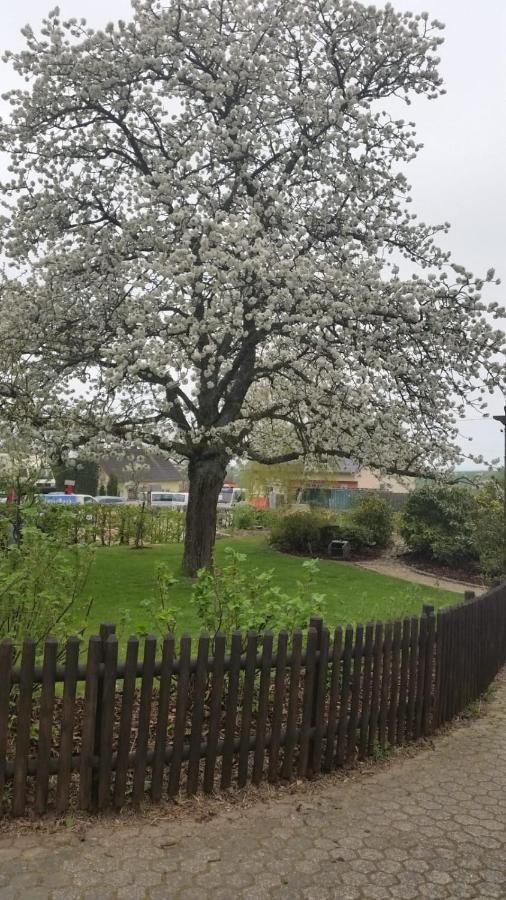 Ferienwohnung Vergissmeinnicht Osburg Exteriér fotografie